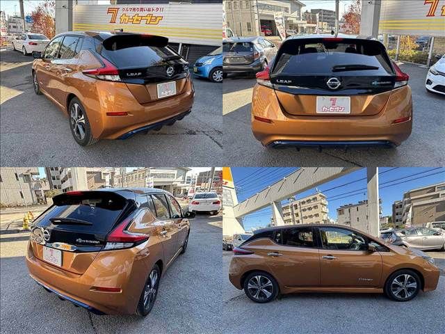 NISSAN LEAF 2019