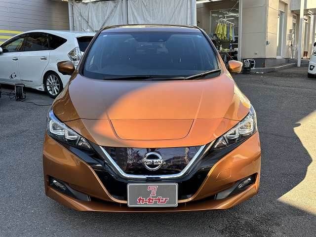 NISSAN LEAF 2019