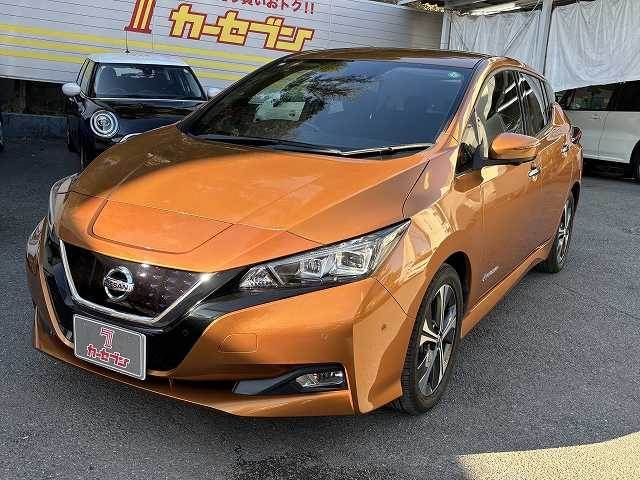 NISSAN LEAF 2019