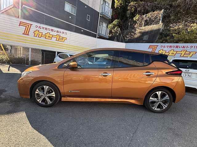NISSAN LEAF 2019