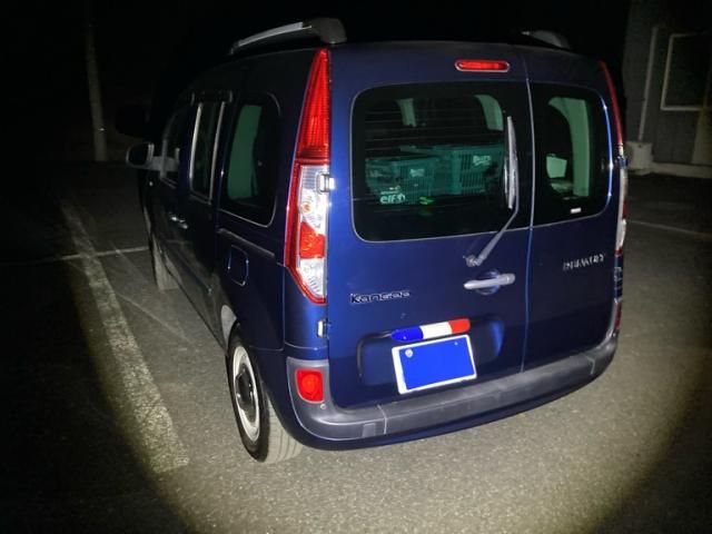 RENAULT RENAULT KANGOO 2019