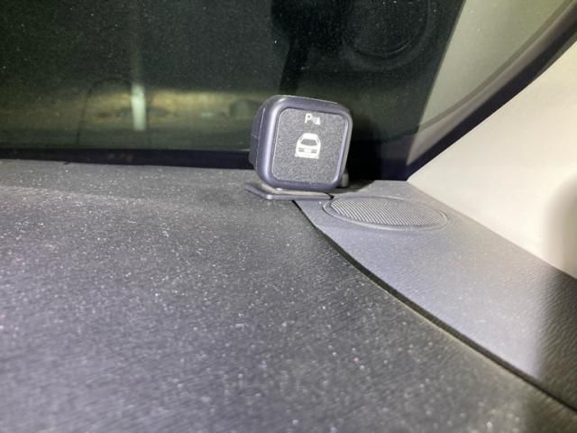 RENAULT RENAULT KANGOO 2019