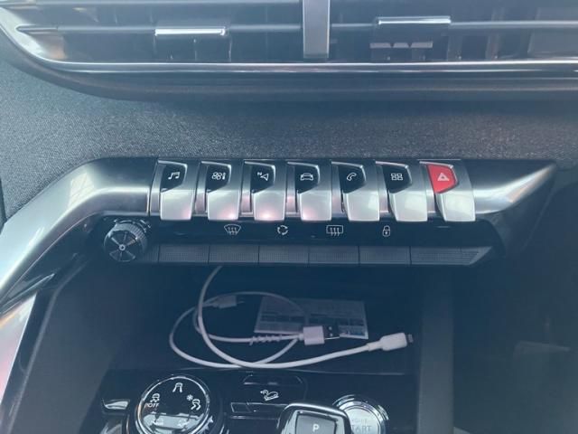 PEUGEOT PEUGEOT 3008 2020