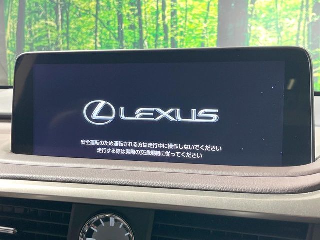 TOYOTA LEXUS RX300 2020