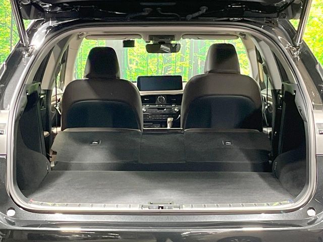 TOYOTA LEXUS RX300 2020