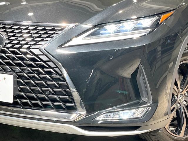 TOYOTA LEXUS RX300 2020