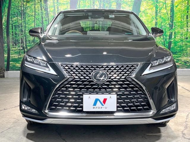 TOYOTA LEXUS RX300 2020