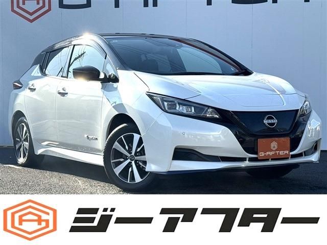 NISSAN LEAF 2021