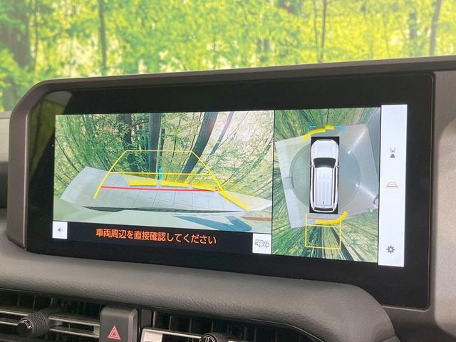 TOYOTA LANDCRUISER 250 2024