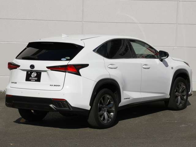 TOYOTA LEXUS NX300h 2019