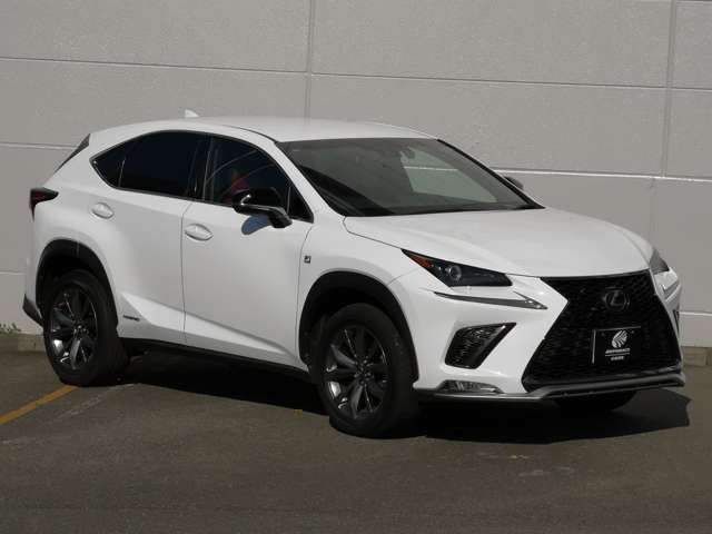 TOYOTA LEXUS NX300h 2019