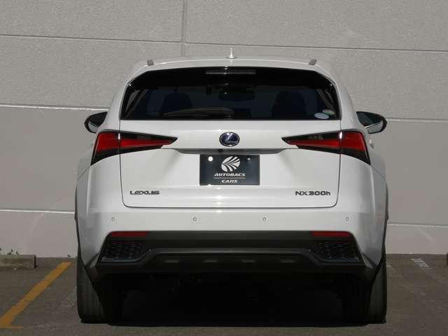 TOYOTA LEXUS NX300h 2019