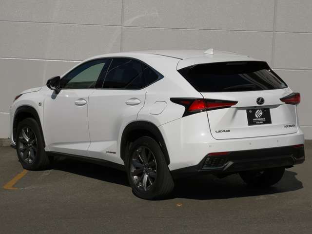 TOYOTA LEXUS NX300h 2019