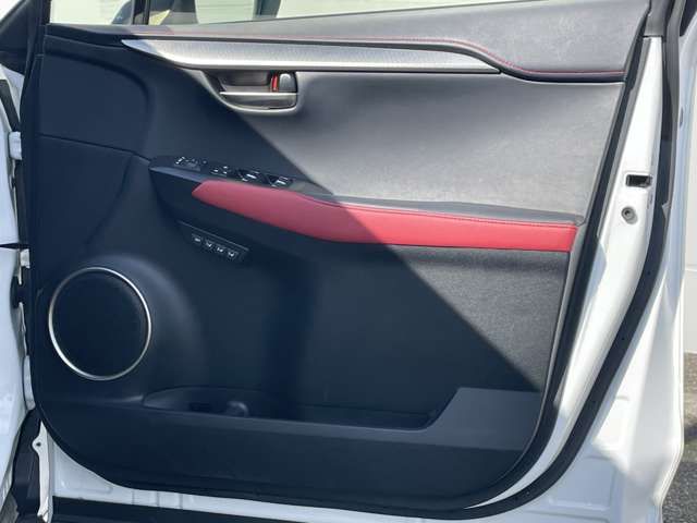 TOYOTA LEXUS NX300h 2019