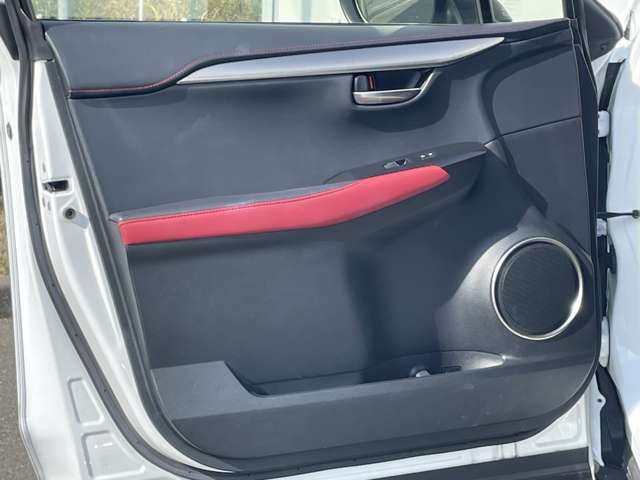 TOYOTA LEXUS NX300h 2019