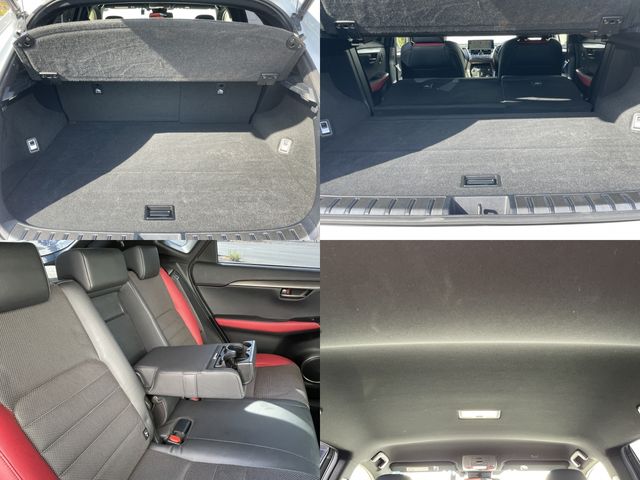 TOYOTA LEXUS NX300h 2019