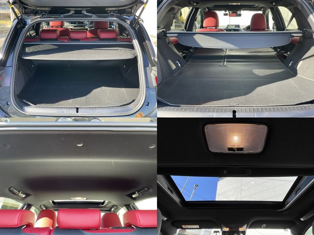 TOYOTA LEXUS CT200h 2022