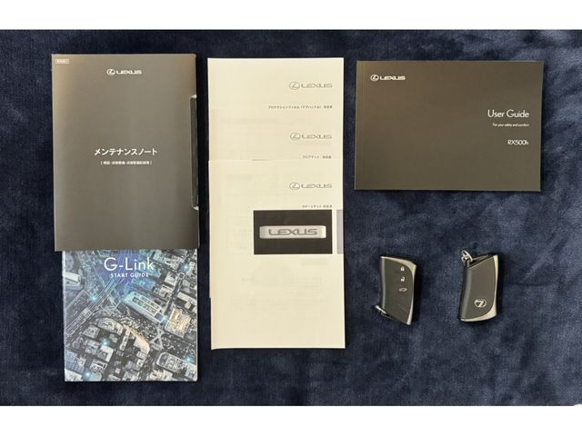 TOYOTA LEXUS RX500h 2023