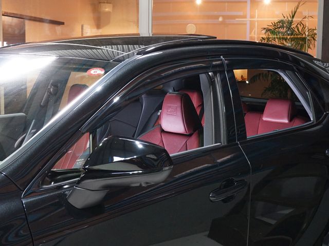 TOYOTA LEXUS RX500h 2023