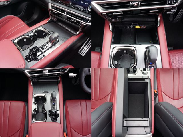 TOYOTA LEXUS RX500h 2023