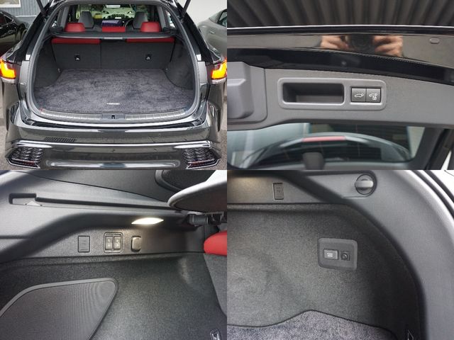 TOYOTA LEXUS RX500h 2023