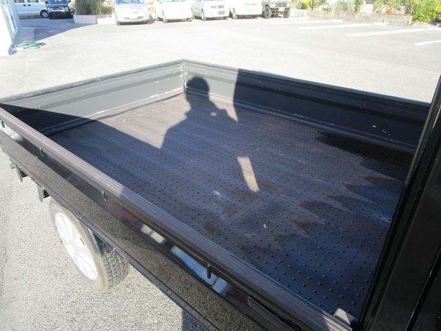 SUZUKI CARRY truck 2009