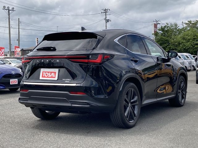 TOYOTA LEXUS NX250 AWD 2023