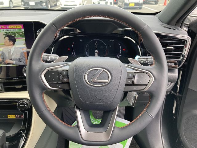 TOYOTA LEXUS NX250 AWD 2023