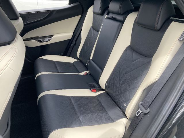 TOYOTA LEXUS NX250 AWD 2023