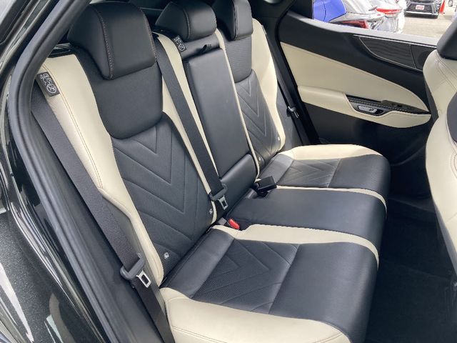 TOYOTA LEXUS NX250 AWD 2023