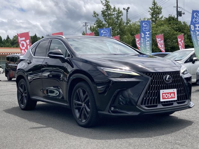 TOYOTA LEXUS NX250 AWD 2023