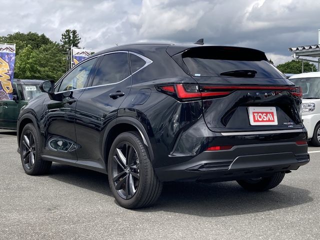 TOYOTA LEXUS NX250 AWD 2023