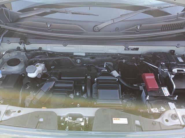 SUZUKI HUSTLER 4WD 2025