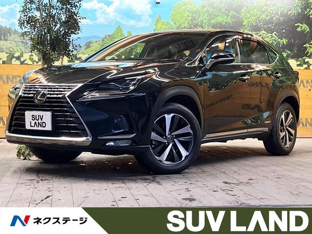 TOYOTA LEXUS NX300h AWD 2019