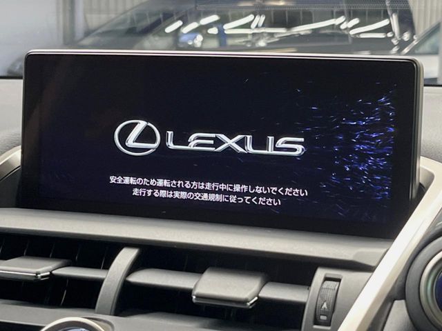 TOYOTA LEXUS NX300h AWD 2019