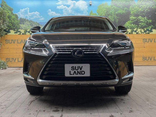 TOYOTA LEXUS NX300h AWD 2019