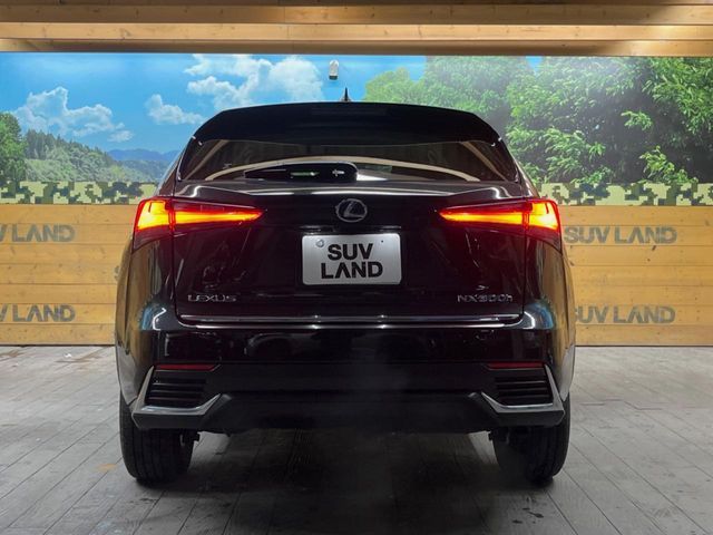 TOYOTA LEXUS NX300h AWD 2019