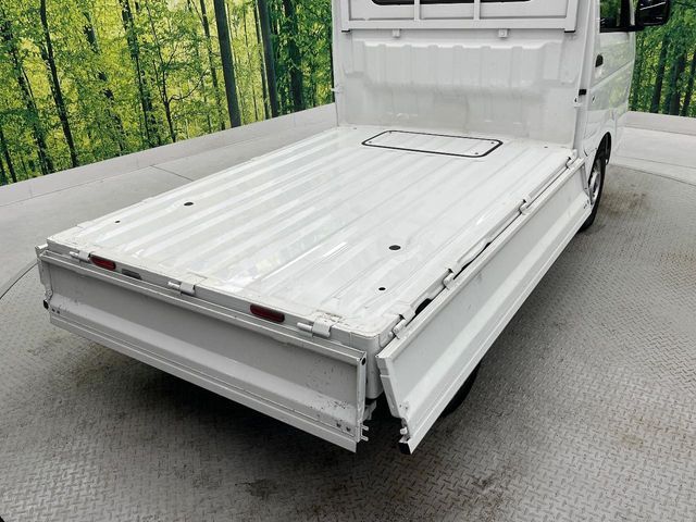 SUZUKI CARRY truck 2024