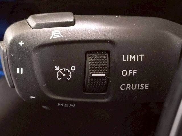 PEUGEOT PEUGEOT 3008 2021