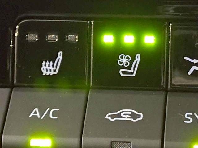 TOYOTA CROWN SPORT 2024