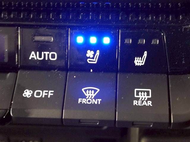 TOYOTA LANDCRUISER 250 2024