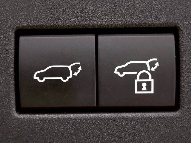 TOYOTA LANDCRUISER 250 2024