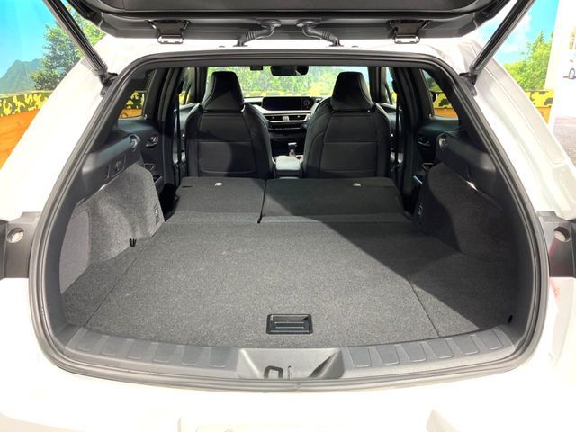 TOYOTA LEXUS UX250h 2020