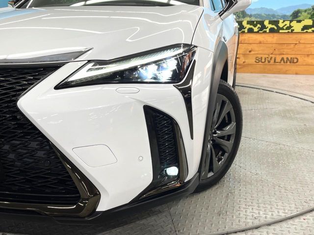 TOYOTA LEXUS UX250h 2020