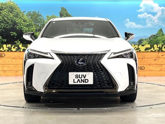 TOYOTA LEXUS UX250h 2020