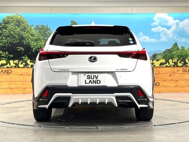 TOYOTA LEXUS UX250h 2020