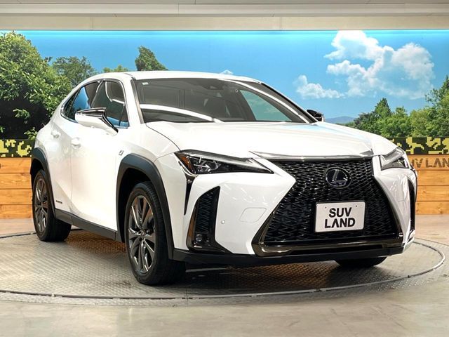 TOYOTA LEXUS UX250h 2020