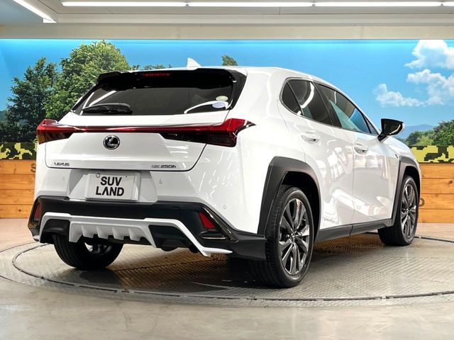 TOYOTA LEXUS UX250h 2020