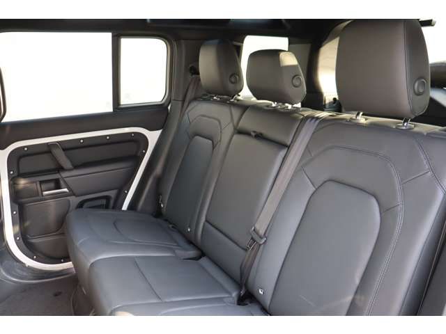 ROVER ROVER DEFENDER 2024