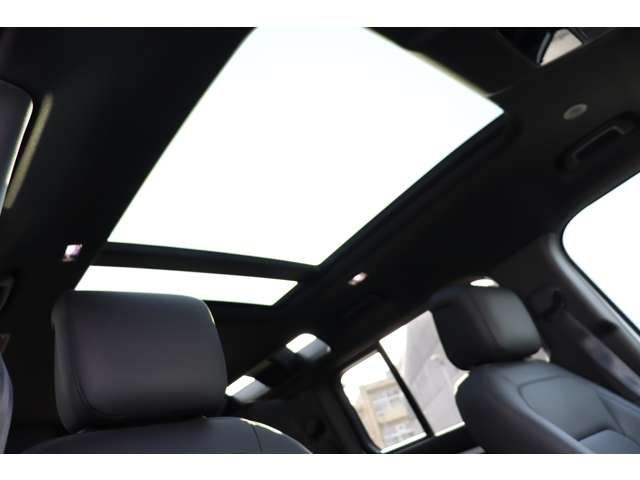 ROVER ROVER DEFENDER 2024